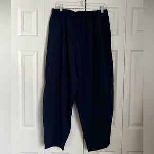 NWT- Lot of 2- elastic waist pants. Navy blue and taupe colors size 2XL